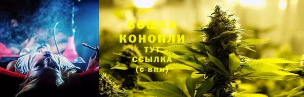 сатива Инсар