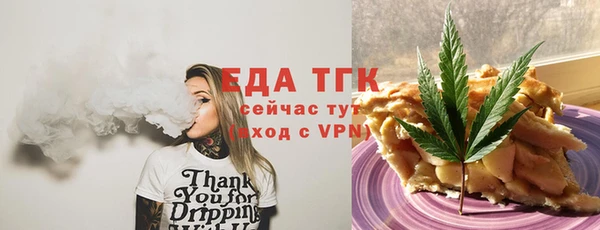сатива Инсар
