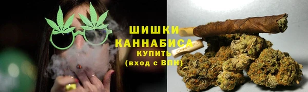сатива Инсар