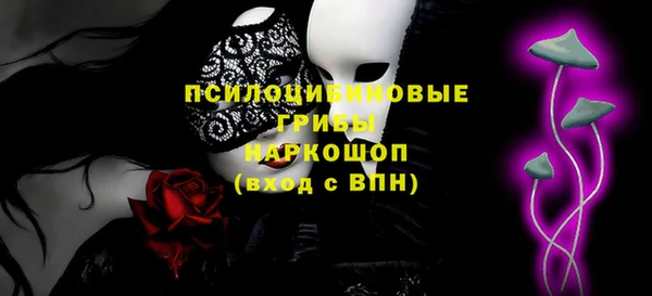 сатива Инсар