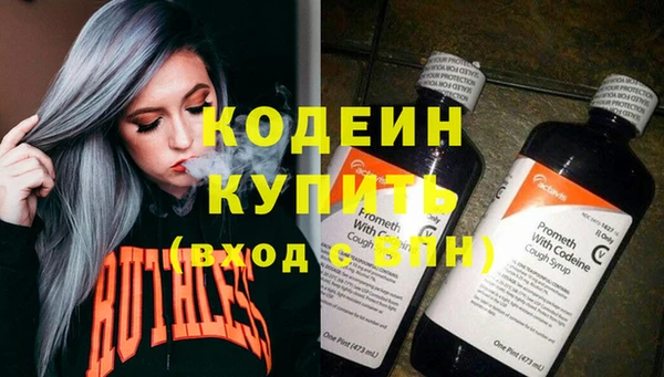 хмурый Инта
