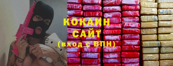 сатива Инсар