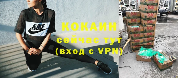 сатива Инсар