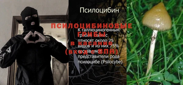 сатива Инсар
