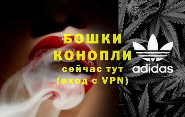 хмурый Инта