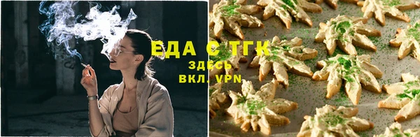 сатива Инсар