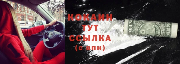 хмурый Инта
