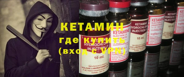 сатива Инсар