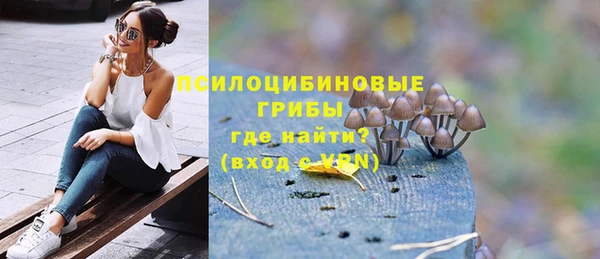 соль ск Иннополис
