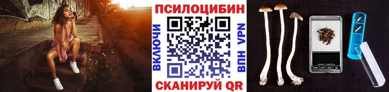 Псилоцибиновые грибы Psilocybine cubensis  Купить где  Куртамыш 